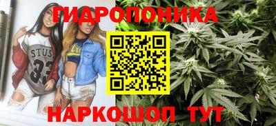 индика Рязань