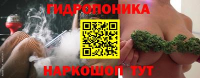 индика Рязань