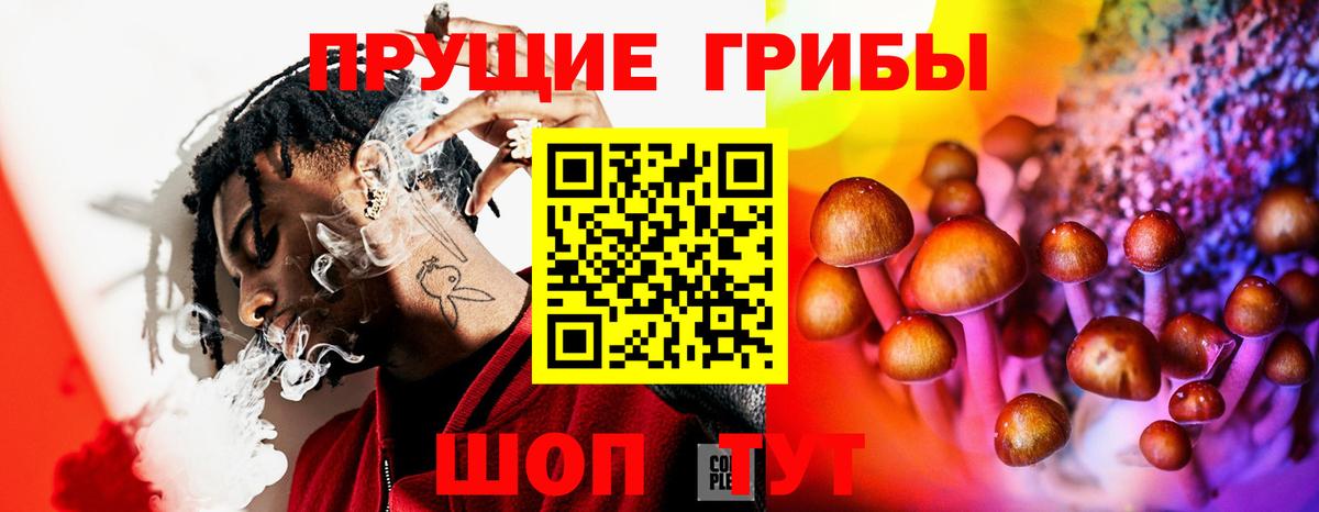 Псилоцибиновые грибы мицелий  Галлюциногенные грибы Psilocybine cubensis  Богданович  Вход с VPN 